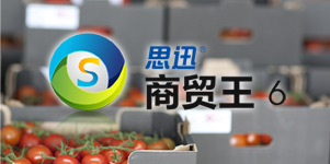 商贸王6商业管理系统